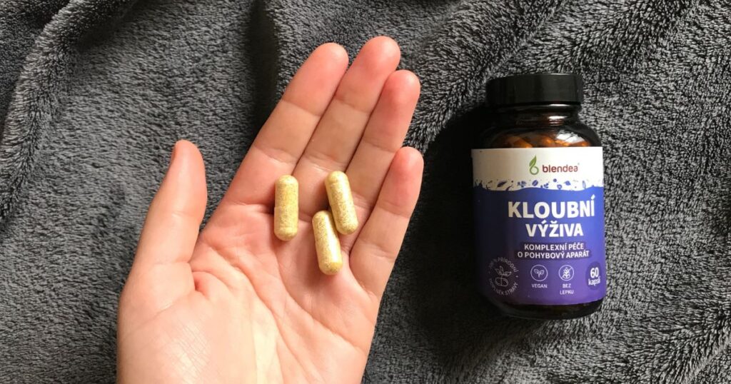 Blednea Kloubní výživa recenze